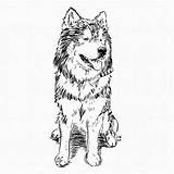 Coloring Book Dogs Akilles Themed sketch template