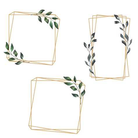 elegant minimal geometric frames botanical watercolor frames clipart