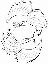 Coloring Fish Pages Betta Color Recommended sketch template