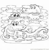 Coloring Pages Alligator Crocodile Printable Croc Drawing Head Color Silhouette Clip American Getdrawings Easy Getcolorings Snapping Turtle Colorings sketch template