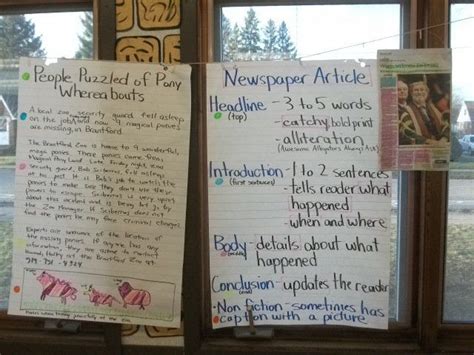 text structure anchor chart  newspaper article