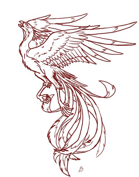 fire phoenix tattoo designs phoenix tattoo design phoenix tattoo