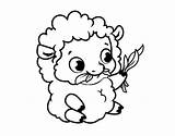 Oveja Pecora Colorear Ovelha Ovejas Disegno Borregos Bebe Stampare Desenho Bebé Pecore Cabra Borrego Cdn5 Acolore Granja Bebê Animali sketch template