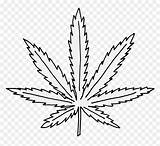 Weed Marijuana Hemp Vhv Trippy Coloringonly Weeknd Cannabis Clipartkey Heraldicart sketch template