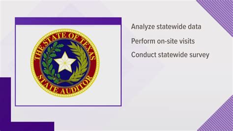 texas state auditor s office provides methodology for examing sexual
