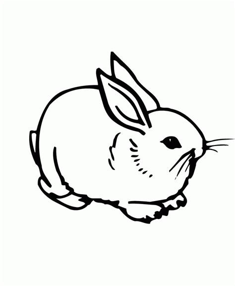cute bunny coloring pages  print coloring home