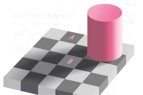 Optical Illusion This Brainteaser Will Blow Your Mind Are The