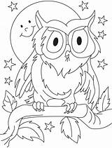 Owl Getdrawings sketch template