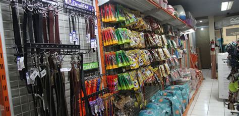 recommended pet supplies stores  jakarta indoindianscom