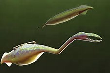 Image result for tully monster