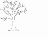 Tree Outline Leafless Printable Clipart Bare Leaf Library Counting Book sketch template