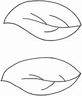 Leaf Outline Clipart Clip Cliparts Template Simple Outlines Library sketch template