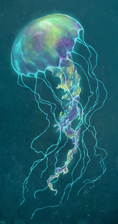 glow bright jellyfish  goldendruid  deviantart jellyfish art