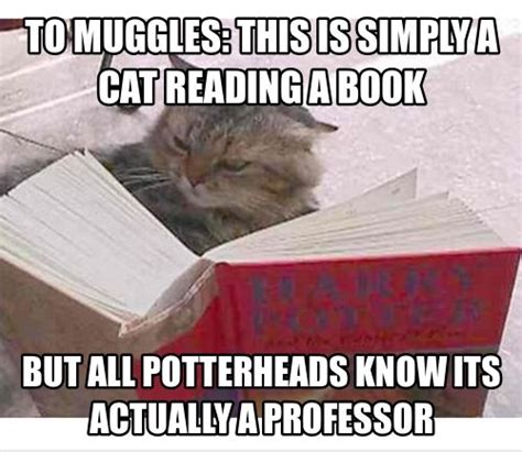 85 best images about harry potter memes on pinterest funny mean