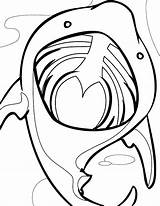 Coloring Shark Pages Mouth Basking Open Lips Lip Clipart Kissing Color Gloss Getcolorings Clipartbest Clipground sketch template