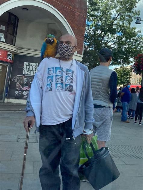 casual walk  town   parrot rcasualuk