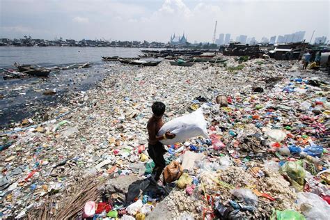 plastic  pacific garbage patch   chinese