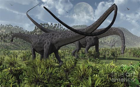 giant diplodocus herbivore digital art  mark stevenson fine art