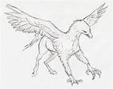 Hippogriff Coloring Pages Template Printable sketch template