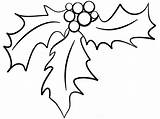 Holly Berries Leaves Coloring Getdrawings Drawing sketch template