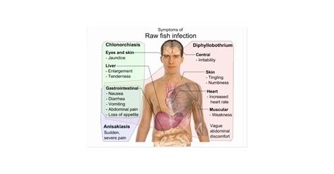 chart   symptoms  raw fish infection postcard zazzlecom
