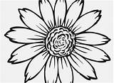 Coloring Sunflower Pages Adults Flower Getcolorings Getdrawings sketch template