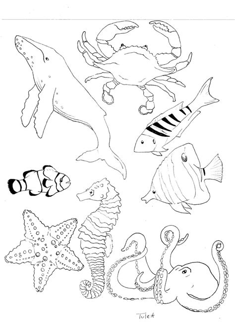 ocean life coloring book page coloring books colorful pictures life