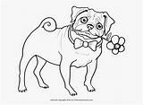 Coloring Pages Pug Printable Popular sketch template