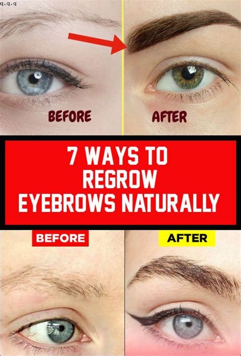 7 Ways To Regrow Eyebrows Naturally In 2020 Regrow Eyebrows Natural