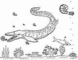 Tylosaurus Coloring Pages Water Mosasaur Marine Robin Great Sea Dragon Meters Would Template sketch template