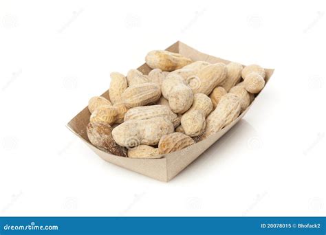brown peanuts stock image image  plant nutshell nutrition