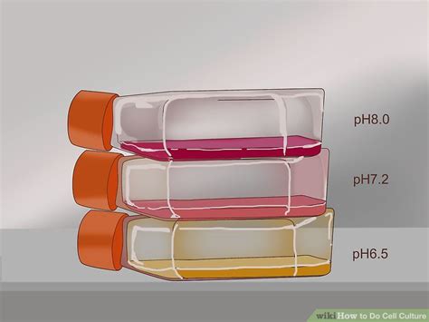 ways   cell culture wikihow