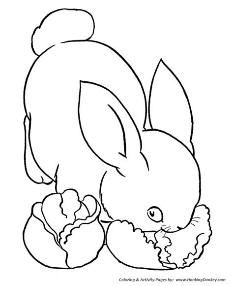 farm animal coloring pages printable bunny rabbit eating lettuce