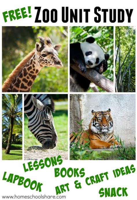 zoo unit study  lapbook homeschool printables