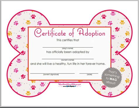 pet adoption certificate template