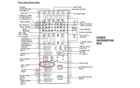 ford fuel pump relay wiring diagram bookingritzcarltoninfo ford diagram relay