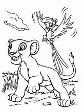 Coloring Zazu Simba Lion King Pages Getdrawings Kidsplaycolor sketch template