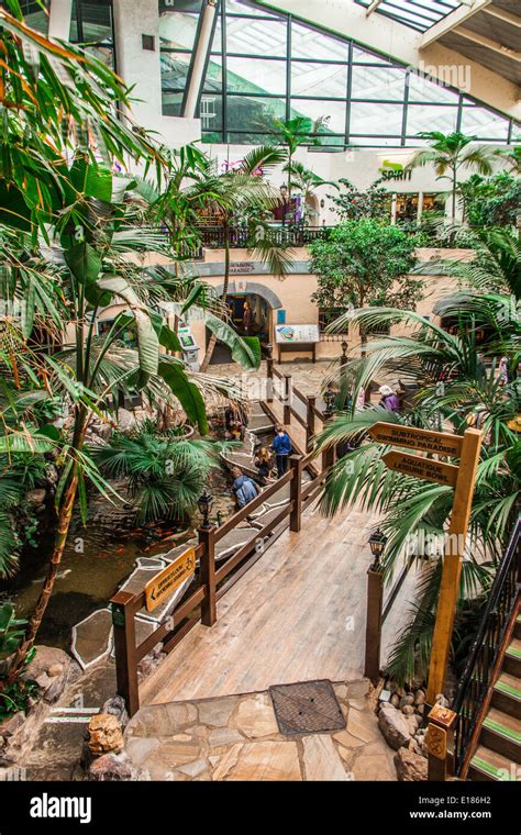 subtropical plaza centre parcs longleat wiltshire england united kingdom stock photo