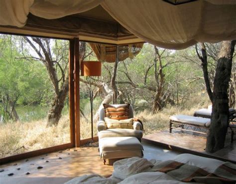 makanyane  luxury safari company