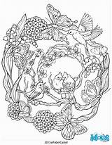 Coloring Pages Adult Mandala Adults Color Printable Nature Book Patterns Sheets Flower Whimsical Mandalas Animal Zum Para Colouring Coloriage Ausmalen sketch template