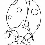 Ladybug Coloring Pages Letter Getcolorings Printable Getdrawings sketch template