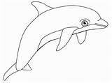 Coloring Dolphin Pages Kids Popular Cute sketch template
