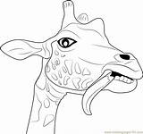 Giraffe Coloring Funny Face Pages Color Kids Head Printable Getcolorings Getdrawings Drawing Coloringpages101 Colorings Animals Print Online sketch template