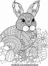 Coloring Pages Adult Mandala Sheets Easter Colouring Rabbit Bunny Bunnies Spring Color Adults Między Book Kids Animals Books Mindfulness Animal sketch template