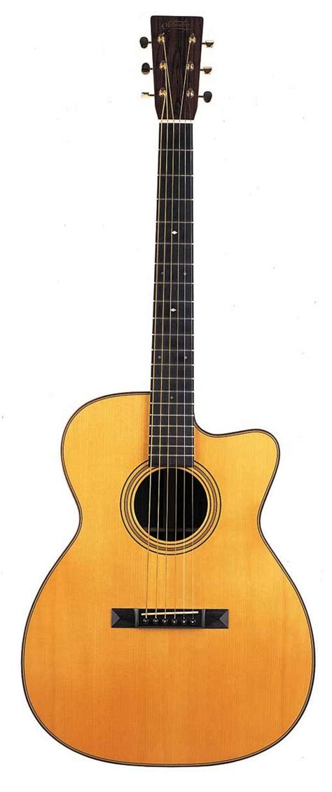 schoenberg designed guitars
