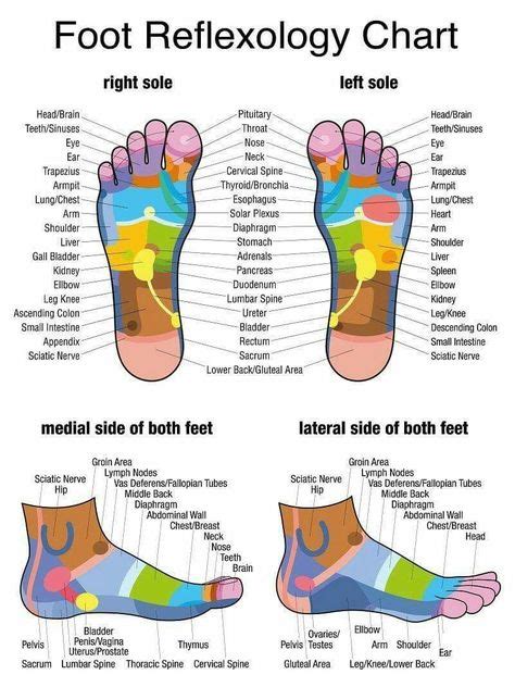 feet massage areas of body footmassage rogue healer ~ anatomy