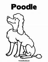 Poodle Poodles Getdrawings sketch template