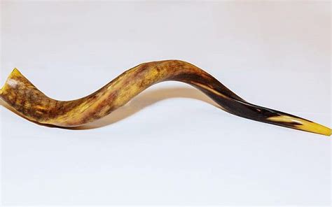 commodity mitzvah sacred instrument  shofar baruch labunski