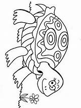 Tortoise Coloring Pages Printable Kids sketch template