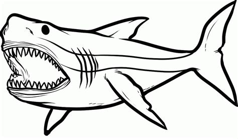 entrelosmedanos shark coloring pages  kids